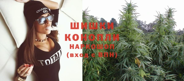 стаф Карпинск