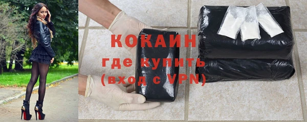 стаф Карпинск