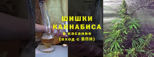 стаф Карпинск