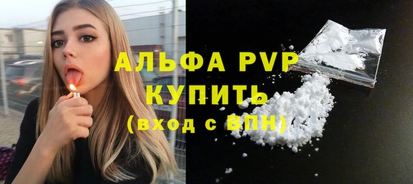 стаф Карпинск